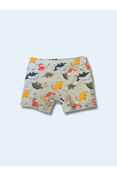 MADALİNA Boy's Dinosaur Patterned 95% Cotton 3-Piece Boxer