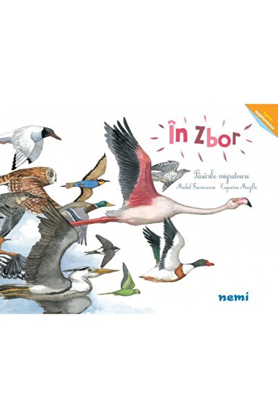 Editura Nemira In zbor. Pasarile migratoare, Michel Francesconi