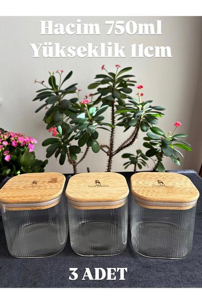 DİBA AVM 3Pcs Glass Jar with Bamboo Lid Vacuum Jar Sugar Bowl Pulses Storage Jar 750 ml