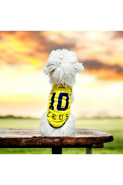 PuluPulu 🐱 🐈   Name Writable Cat and Dog Fan Jersey
