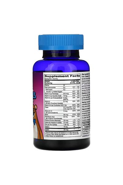 21st Century , Zoo Friends, Kids Vitamin Multi Gummies, Fruit, 60 Gummies (Child Vitamin +2 Years Old)