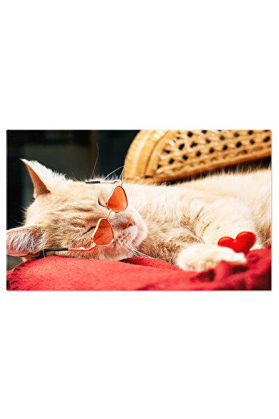 StoryGift Romania Tablou Canvas Pisica Ginger Draguta Cu Ochelari De Soare Ro...