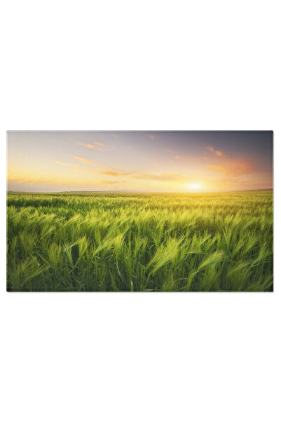 StoryGift Romania Tablou Canvas Apus In Campul De Grau Vara, Agricultura, Pei...