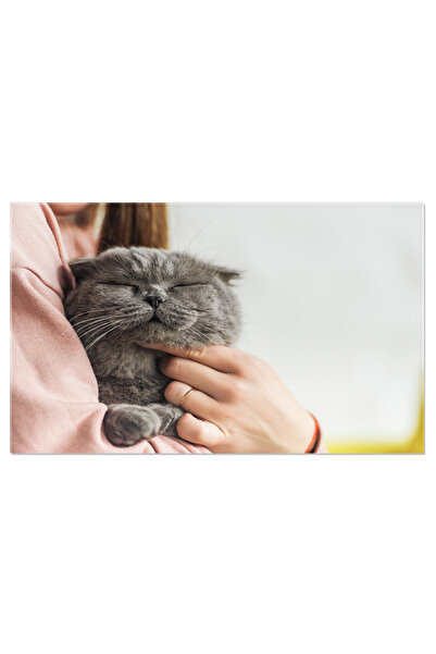 StoryGift Romania Tablou Canvas Femeie Cu Un Scottish Fold Adorabil Persoana,...