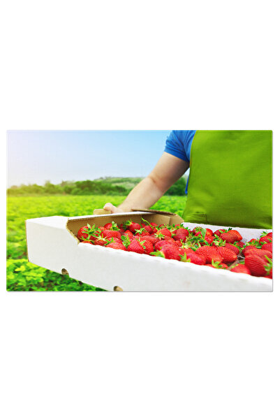 StoryGift Romania Tablou Canvas: Culegerea Fructelor - Agricultura Si Recoltare