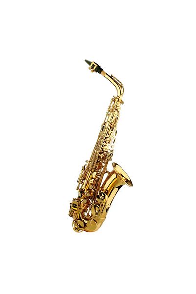 Parrot Alto saxophone, Parrot 6430L, E flat, Gold
