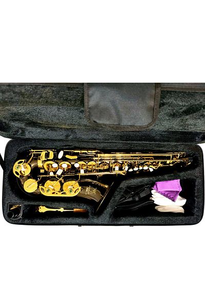 Parrot Alto saxophone, Parrot 6430BN, E flat, Black, gold keys