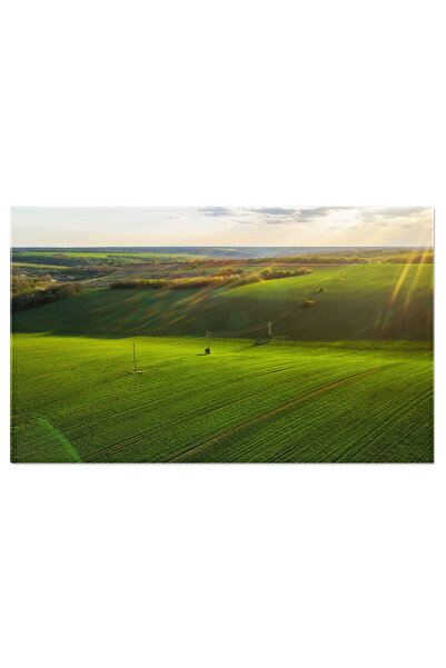 StoryGift Romania Tablou Canvas Peisaj De Vara In Campul Insorit