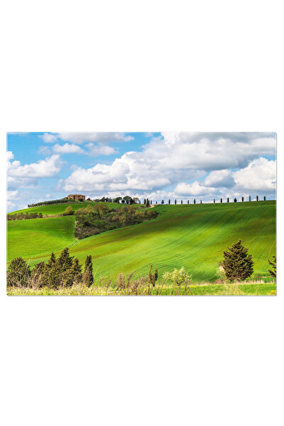 StoryGift Romania Tablou Canvas Farmecul Toscanei: Case Si Peisaje