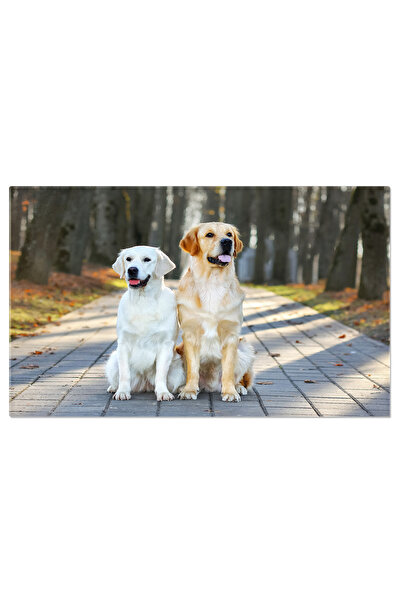 StoryGift Romania Tablou Canvas: Prietenii In Parc - Doua Catelusi Jucausi