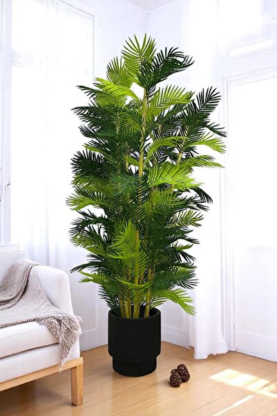 Fupe Shop Yapay Ağaç Palmiye Kalın Bambu 200 Cm Yükseklik Siyah Saksı