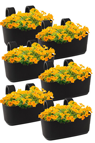 TEMMUZ HOME 3.2 Litre 6 Adet Askılı Balkon Saksısı