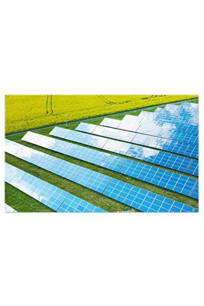 StoryGift Romania Canvas Painting 70 X 50cm Solar Panels Aligned On A Green F...