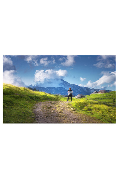 StoryGift Romania Tablou Canvas: In Drum Spre Sate - Fata Pe Drum De Munte, Camp, Casa, Peisaj Rural