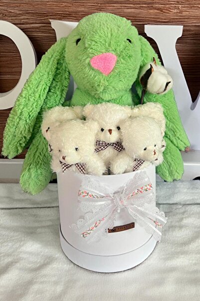 Sole Özel Kutuda, Yeşil Tavşan, 5 Beyaz Ayıcık – Pamuk Çiçeği Dokunuşlu, Özel...