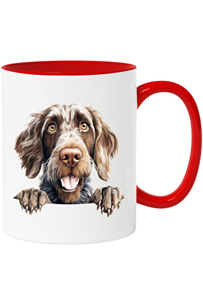 StoryGift Romania Cana Cu Un Catel Blanos | Ilustratie | Gheare | Labute | Pr...