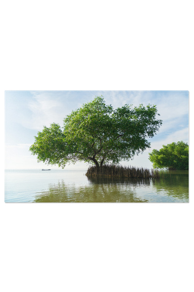 StoryGift Romania Tablou Canvas Vedere Aeriana Parc National Cu Rau, Lac, Mun...