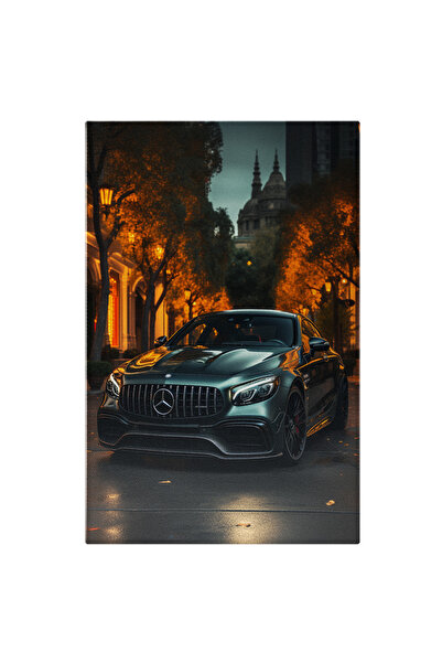 StoryGift Romania Tablou Canvas: Beautiful Car Masina Gri Inchis Langa Copacii Tomnatici Mercedes Luminat Pictur