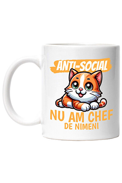 StoryGift Romania Cana Cu Pisica Portocalie Vesela Ochii Verzi Text Anti-soci...