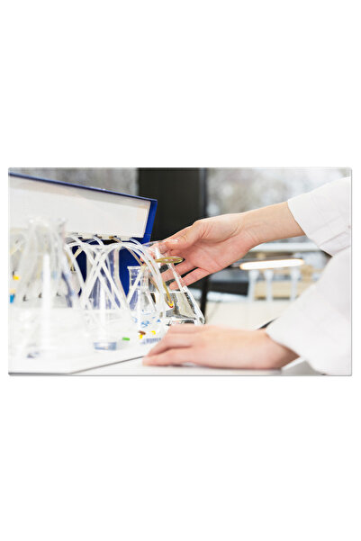 StoryGift Romania Tablou Canvas - Cercetare Stiintifica La Berlin: Explorarea...