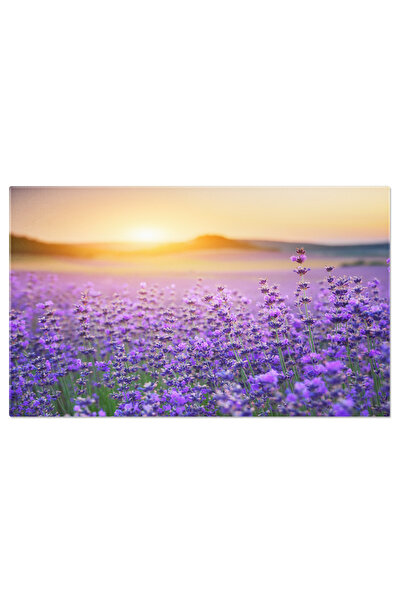 StoryGift Romania Tablou Canvas Tufisuri Intr-un Lac Natura, Peisaj, Lac, Apa...