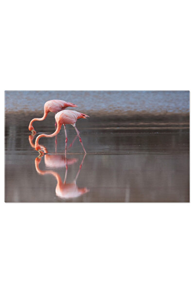 StoryGift Romania Tablou Canvas: Doi Flamingo In Natura