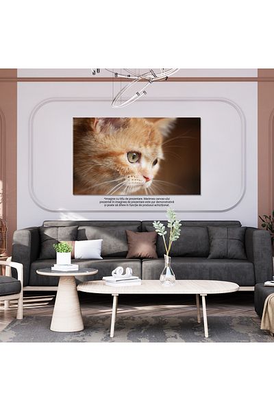 StoryGift Romania Tablou Canvas Pisicuta Gingasa Britanica Animal, Dragoste, Pui, Blana, Poroasa, Portret 1331