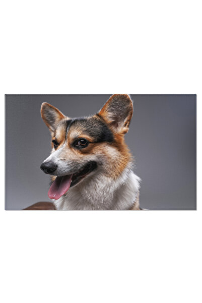 StoryGift Romania Tablou Canvas Corgi Jucaus - Prieten Vesel Si Fidel