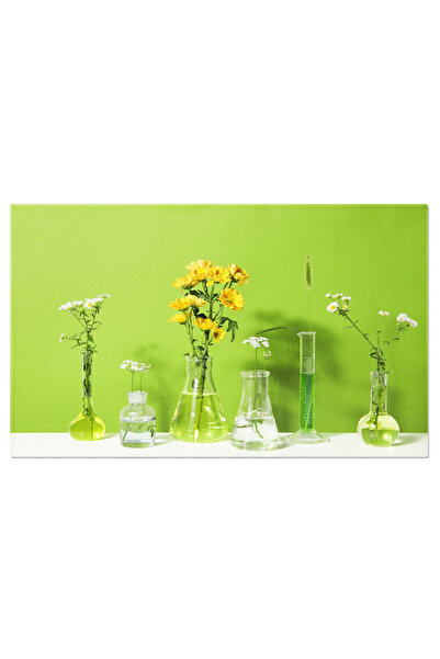 StoryGift Romania Tablou Canvas Cercetand Fitoterapia Eprubete Si Flori Intrun Concept De Medicina Alternativa, O