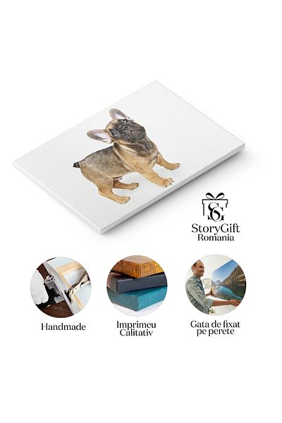 StoryGift Romania Tablou Canvas - Catelus Bulldog Francez Dragalas