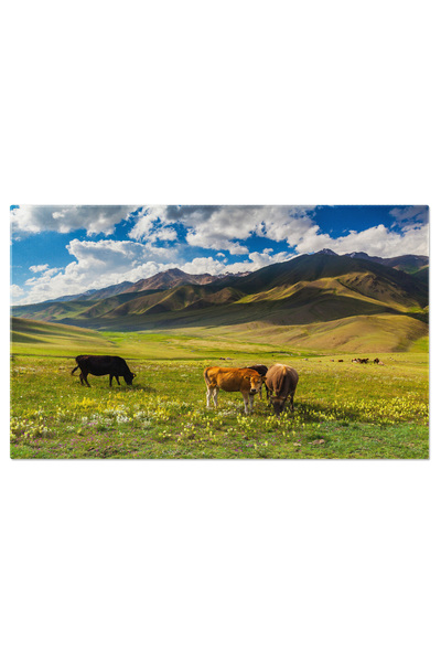 StoryGift Romania Tablou Canvas - Peisaj Montan Elvetian Cu Vaci: Mountain, A...