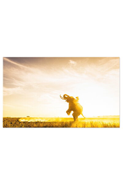 StoryGift Romania Tablou Canvas Elefant La Apus In Campie Agricultura, Animal...