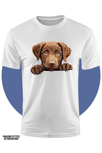 StoryGift Romania Tricou Copii Cu Un Catel Sfios, Ilustratie, Maro Deschis, Gheare, Pentru Iubitorii De Cain