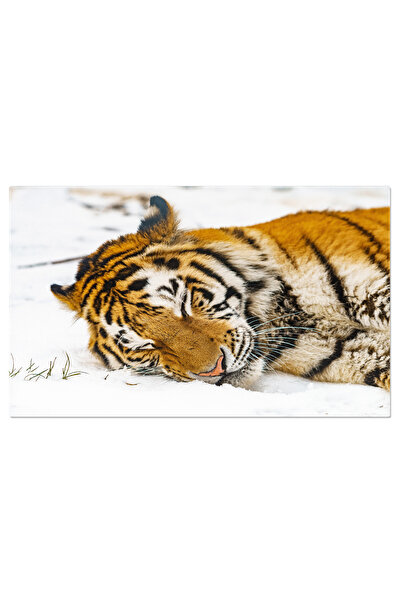 StoryGift Romania Tablou Canvas Tigru In Zapada, Salbatic Siberian, Iarna, Na...