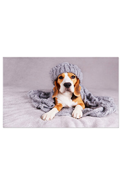 StoryGift Romania Tablou Canvas Caine Beagle In Sapca Si Fular Gri, Toamna, C...