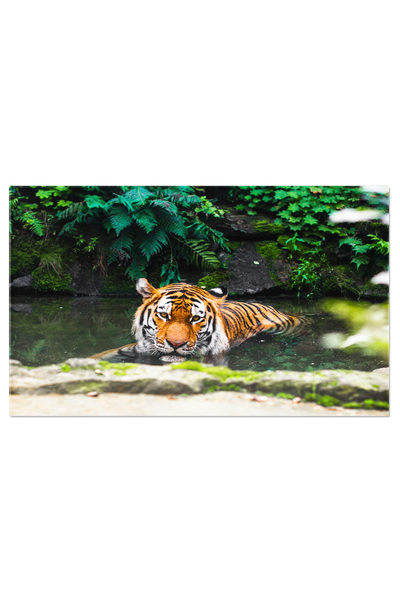 StoryGift Romania Tablou Canvas Tigru Intins In Apa Inconjurat De Stanci Si V...