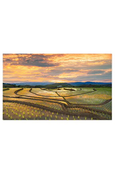 StoryGift Romania Tablou Canvas Panorama Naturala Camp De Rijea Proaspata, Ba...