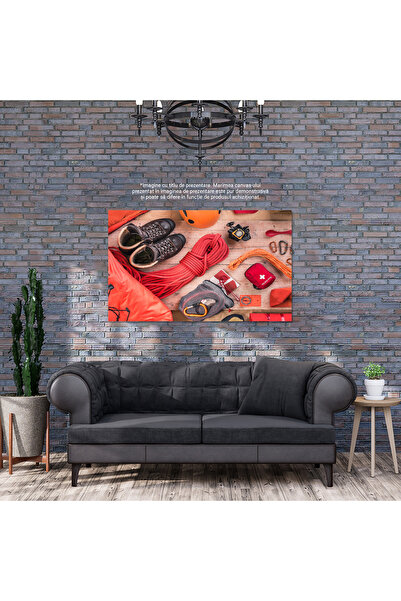 StoryGift Romania Tablou Canvas - Aventura Si Pregatire: Echipament De Catarare, Portocaliu: Siguranta, Anticipar