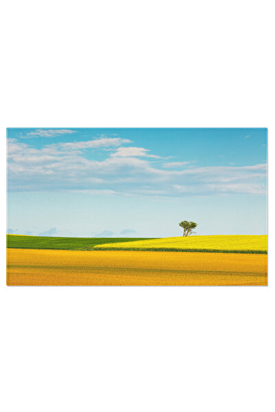 StoryGift Romania Tablou Canvas Arbore Intr-un Camp Colorat, Natura, Peisaj, Vara, Verde, Albastru 4768