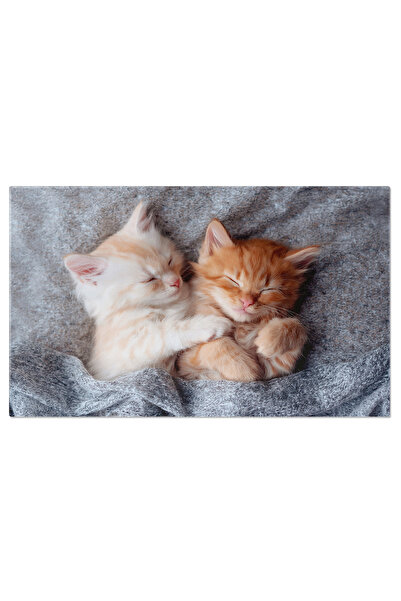 StoryGift Romania Tablou Canvas - Portret Intim: Pisica Tabby Tanara Dormind ...