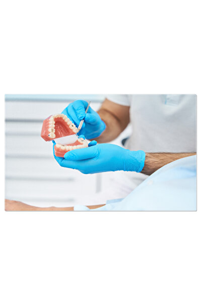 StoryGift Romania Tablou Canvas - Proteze Dentare: Ingrijire Si Sanatate Orala