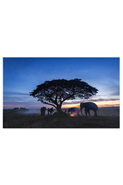 StoryGift Romania Tablou Canvas Elefant La Rasarit In Peisaj Tropical Agricul...