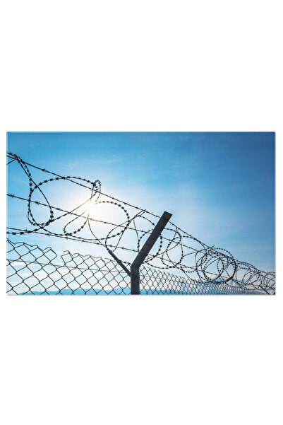 StoryGift Romania Tablou Canvas Sarma Ghimpata In Silueta La Apus, Sarma, Protectie, Libertate, Pericol, Apus. 40