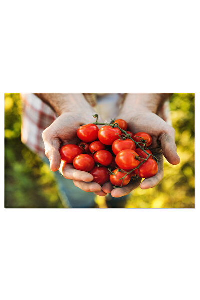 StoryGift Romania Tablou Canvas Apropiere Partiala A Unui Fermier Tinand Fruc...