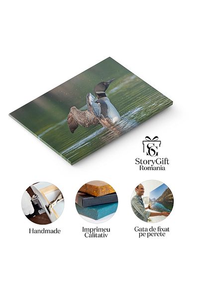 StoryGift Romania Tablou Canvas Loon Mare Intr-un Peisaj Colorat - Pasari Splendide In Armonie Cu Natura