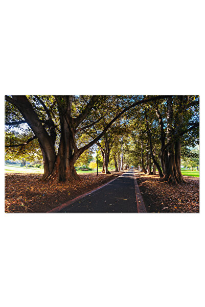 StoryGift Romania Tablou Canvas Copac Si Turma De Animale In Savannah, Africa...