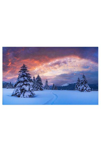 StoryGift Romania Tablou Canvas Peisaj Incredibil Cu Conifere Acoperite De Zapada, Peisaj De Craciun, Iarna 2497