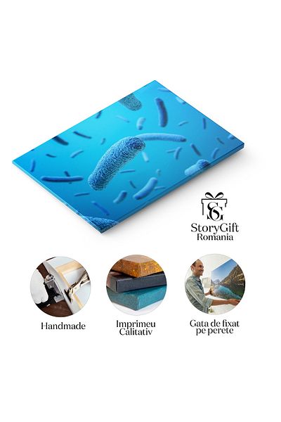StoryGift Romania Tablou Canvas Ilustratie 3d A Bacteriilor In Forma De Baston, Biologie, Microbiologie, E.coli 2