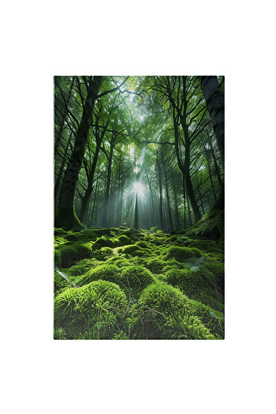 StoryGift Romania Tablou Canvas: Razele De Soare În Pădurea Deasă Copacii Înalți Ce Nu Permit Pătrunderea Luminii