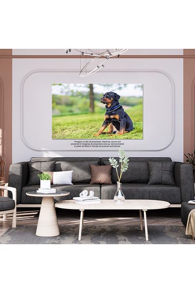 StoryGift Romania Tablou Canvas Caine De Rasa Rottweiler Sta Pe Lunca Natura, Animale, Iarba, Primavara, Caine 16